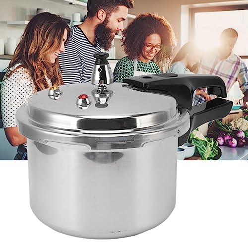 Stainless Steel 3L Mini Pressure Cooker H9446