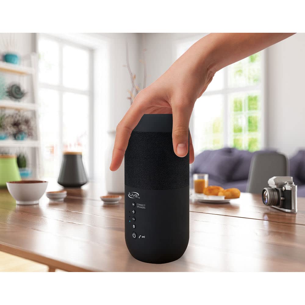 Black Waterproof Indoor and Outdoor Speakers, 2 Count G4388