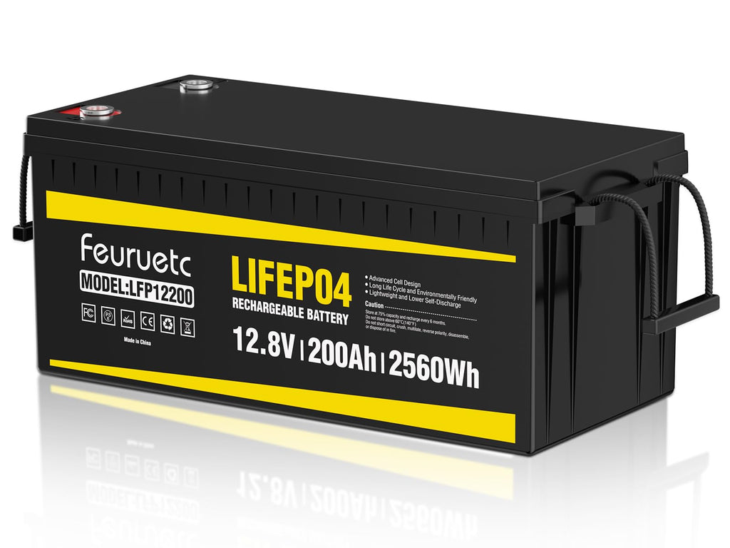 12V 200Ah LiFePO4 Deep Cycle Lithium Battery with 200A BMS Q8858