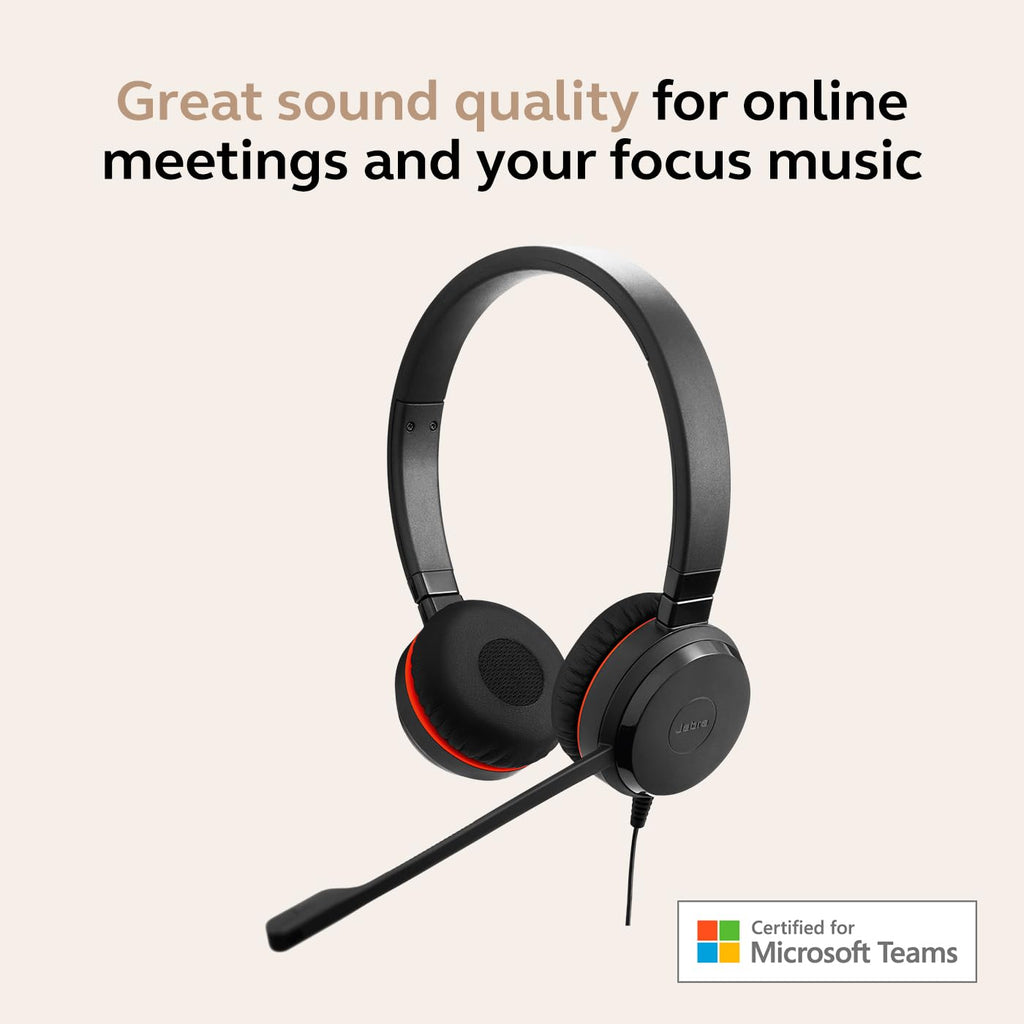 Wired Dual-Ear Headset with Mic, Black N98292