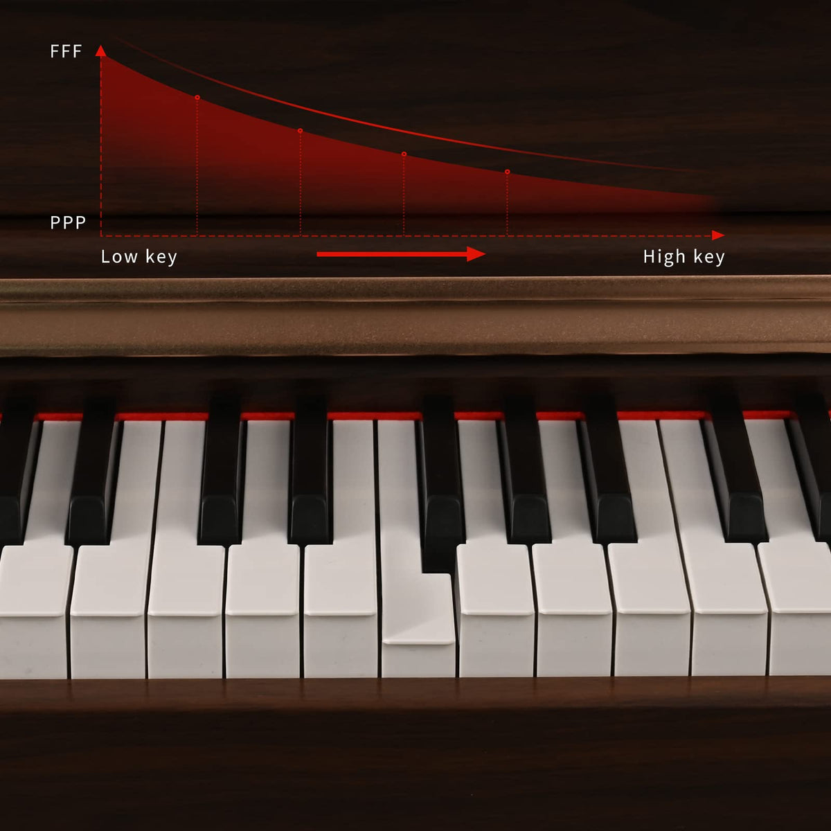 88 Key Full Weighted Digital Piano with Triple Pedal P8718