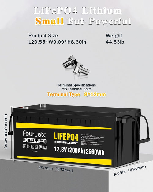 12V 200Ah LiFePO4 Deep Cycle Lithium Battery with 200A BMS Q8858