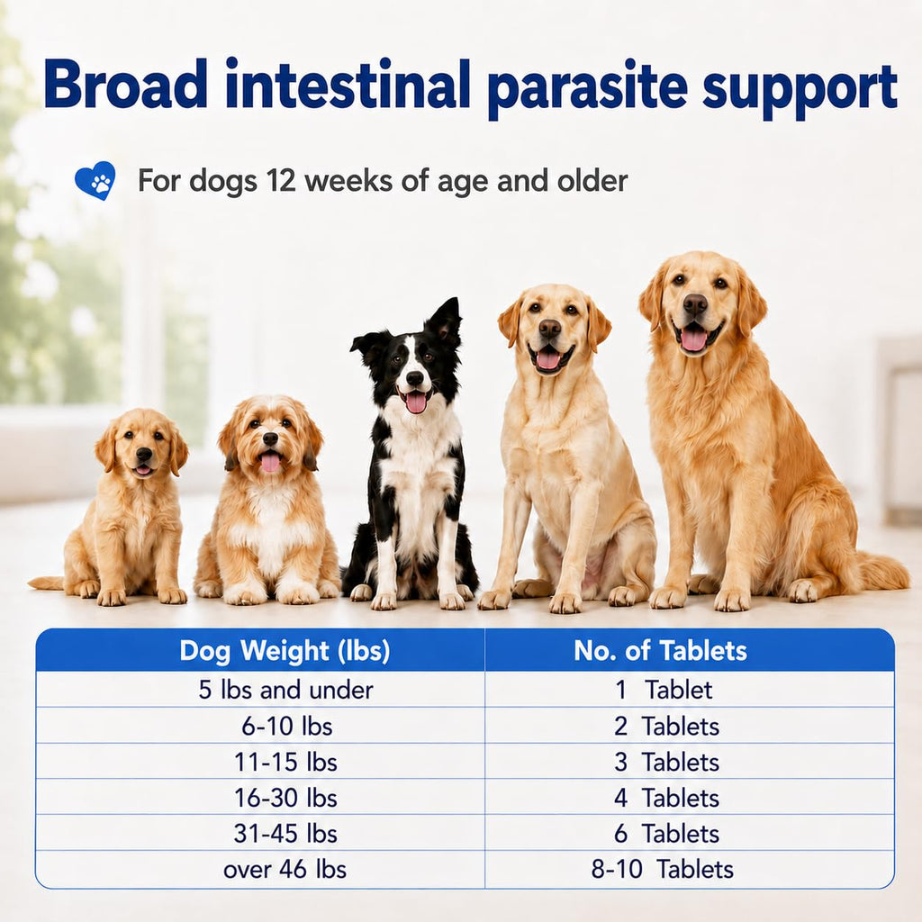 Dewormer for Dogs E152213