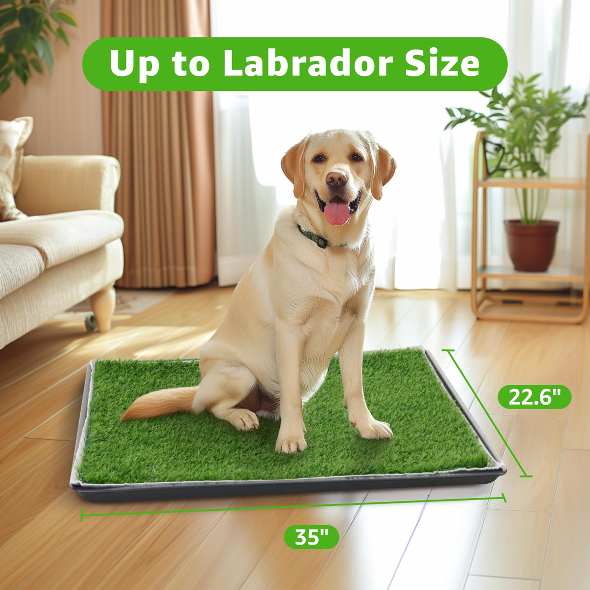 Dog Grass Pad with Tray M8201