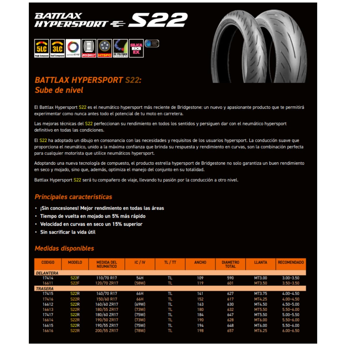 Motorcycle Tire E228046