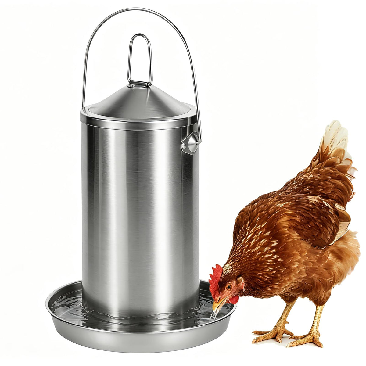 Stainless Steel Chicken Waterer U28819