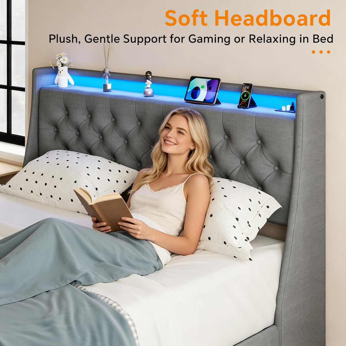 Queen Size Grey Bed Frame with 2 Storage Drawer H5106