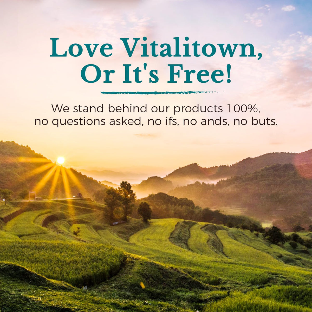 Probiotics 120 Billion CFUs 36 Strains with Prebiotics & Digestive Enzymes 30 Veg Caps J787952