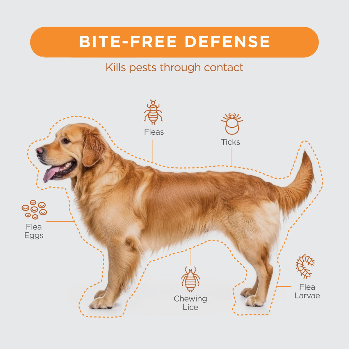 Flea Treatment for Dogs 6-22 lbs 3 Doses M1091