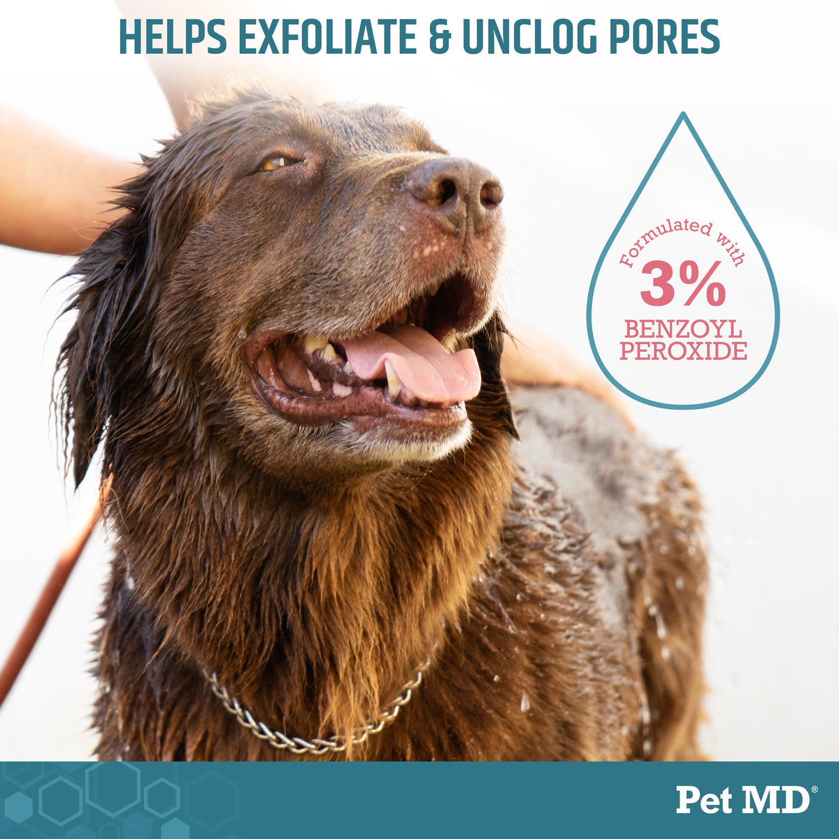 Benzoyl Peroxide Shampoo for Dogs, Cats, and Horses 12oz R4285