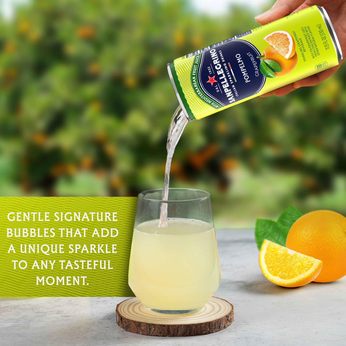 Grapefruit Soda 24 Pack K536979