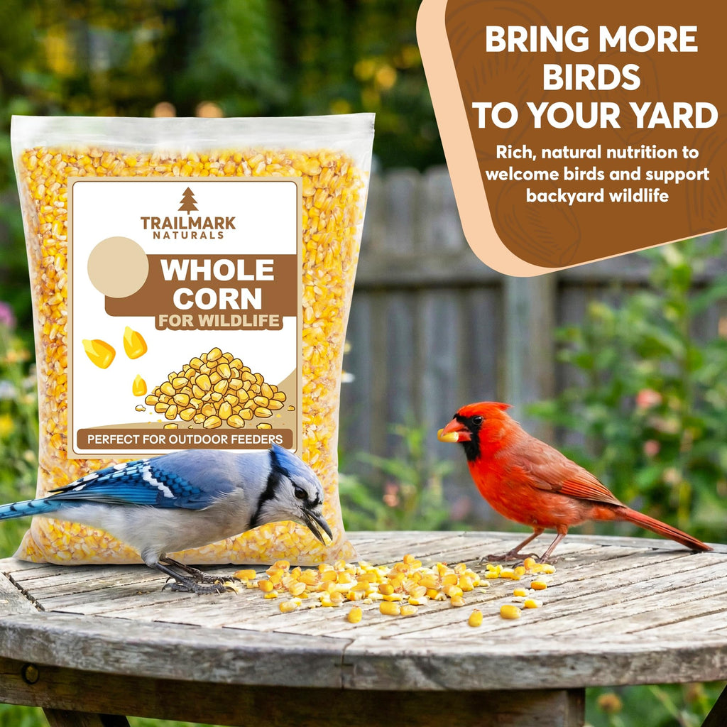 Whole Corn 20 LB Bird Seed & Wildlife Feed J1006