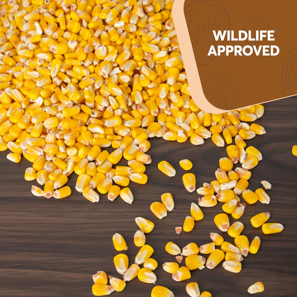 Whole Corn 20 LB Bird Seed & Wildlife Feed J1006