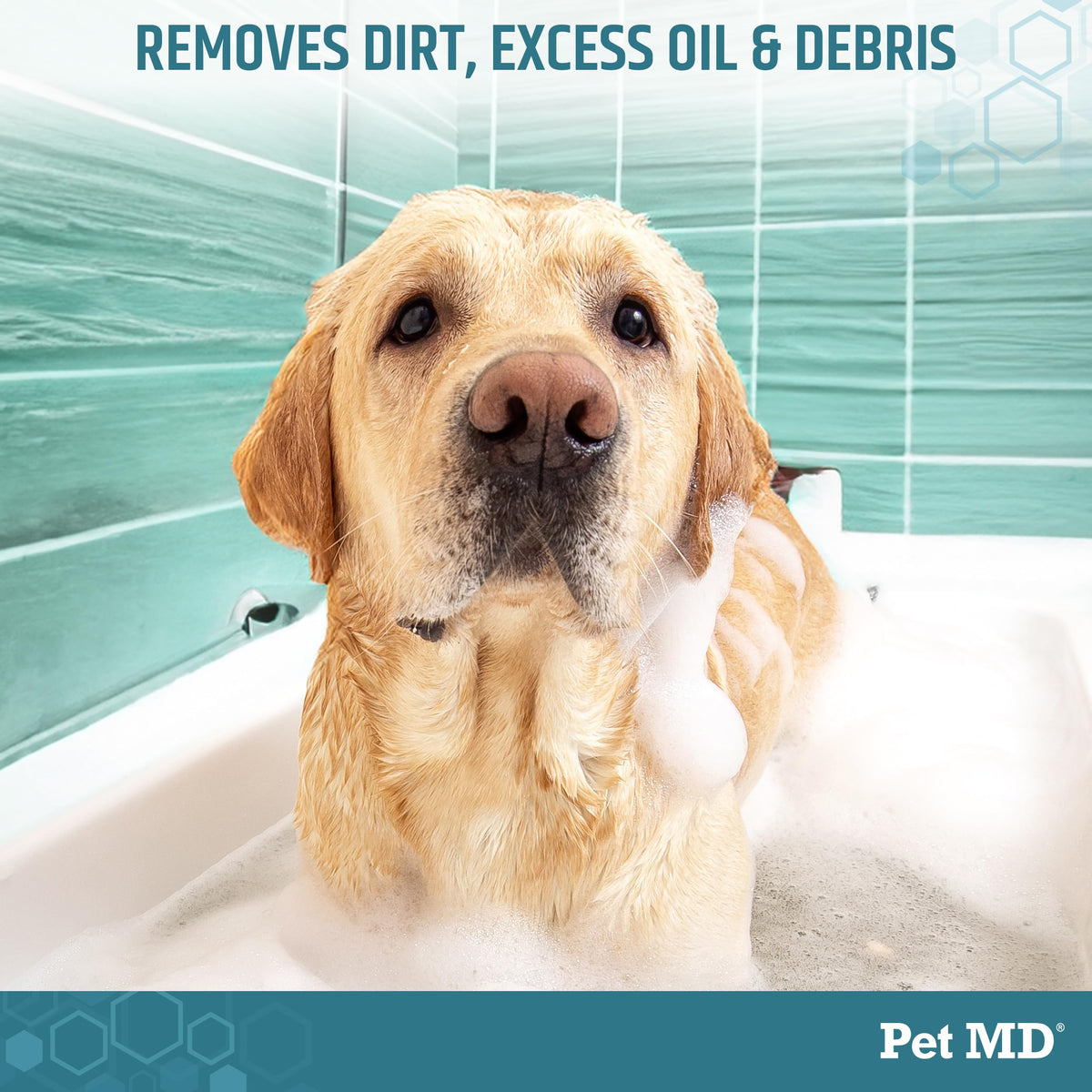 Benzoyl Peroxide Shampoo for Dogs, Cats, and Horses 12oz R4285