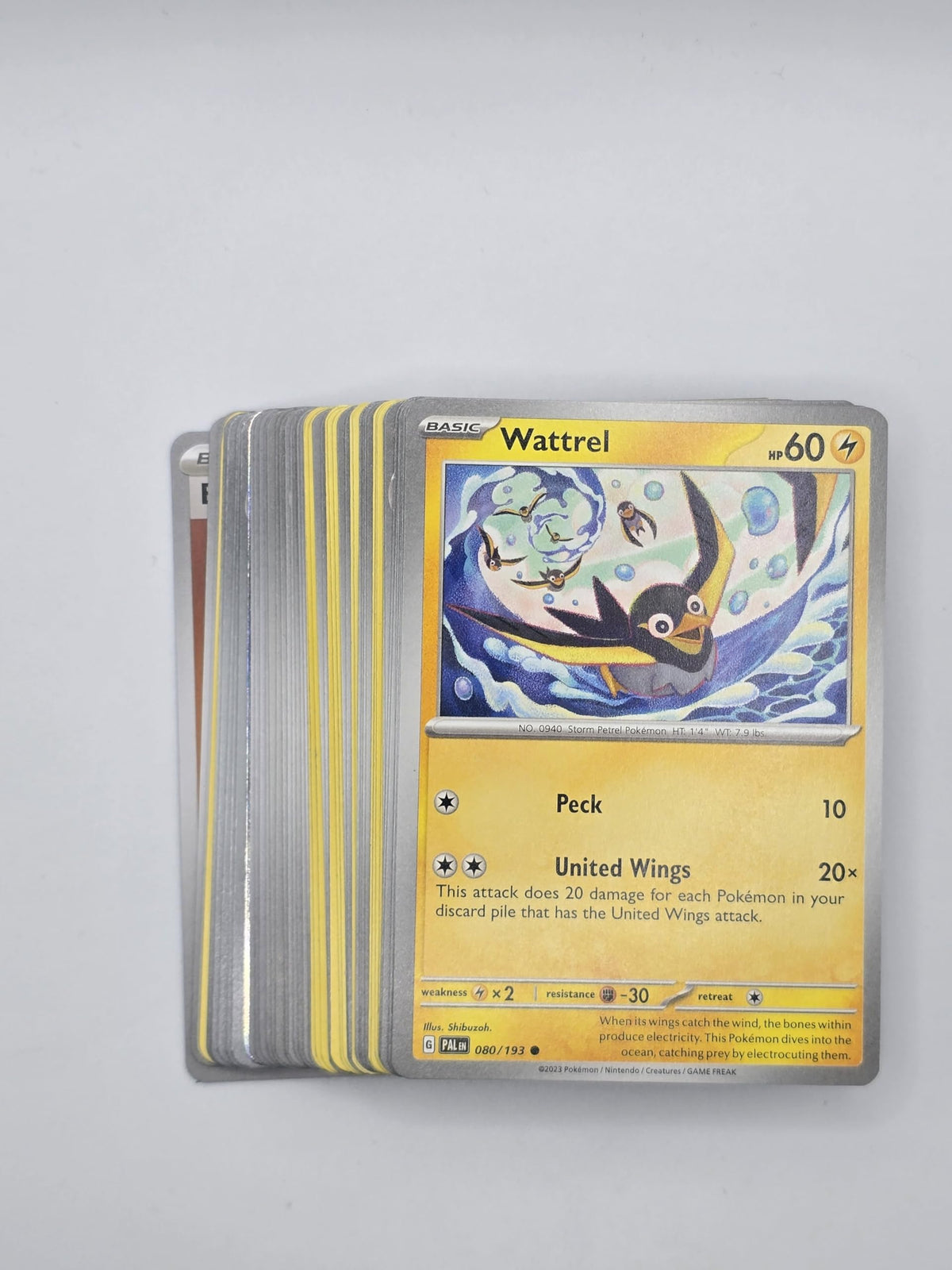 Pokemon TCG Random Cards 50 Cards N15396