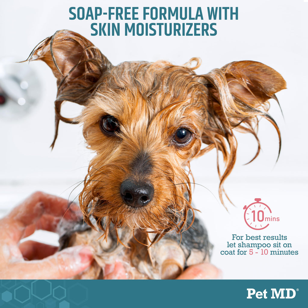 Benzoyl Peroxide Shampoo for Dogs, Cats, and Horses 12oz R4285
