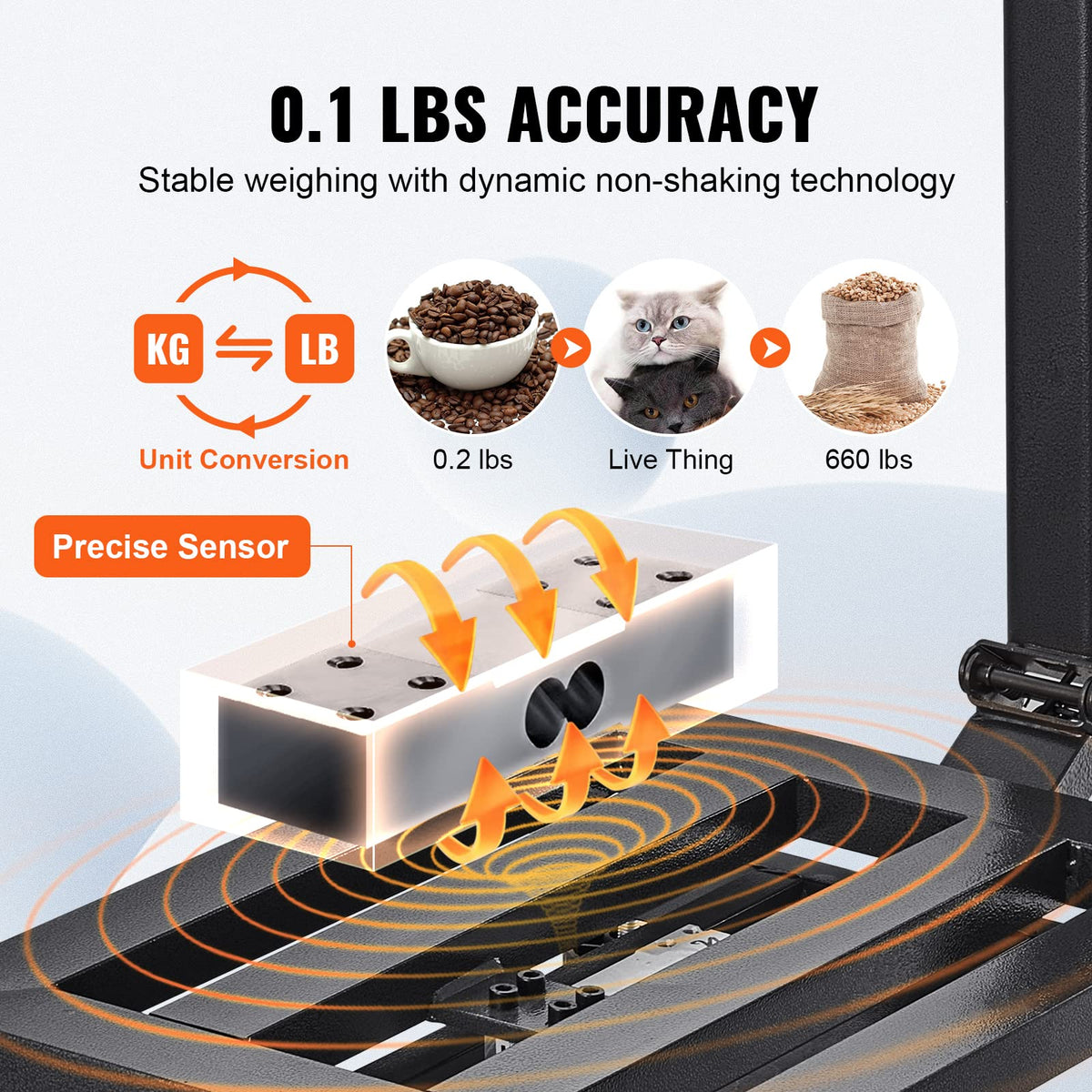 660 lbs Stainless Steel Digital Platform Scale Q6644