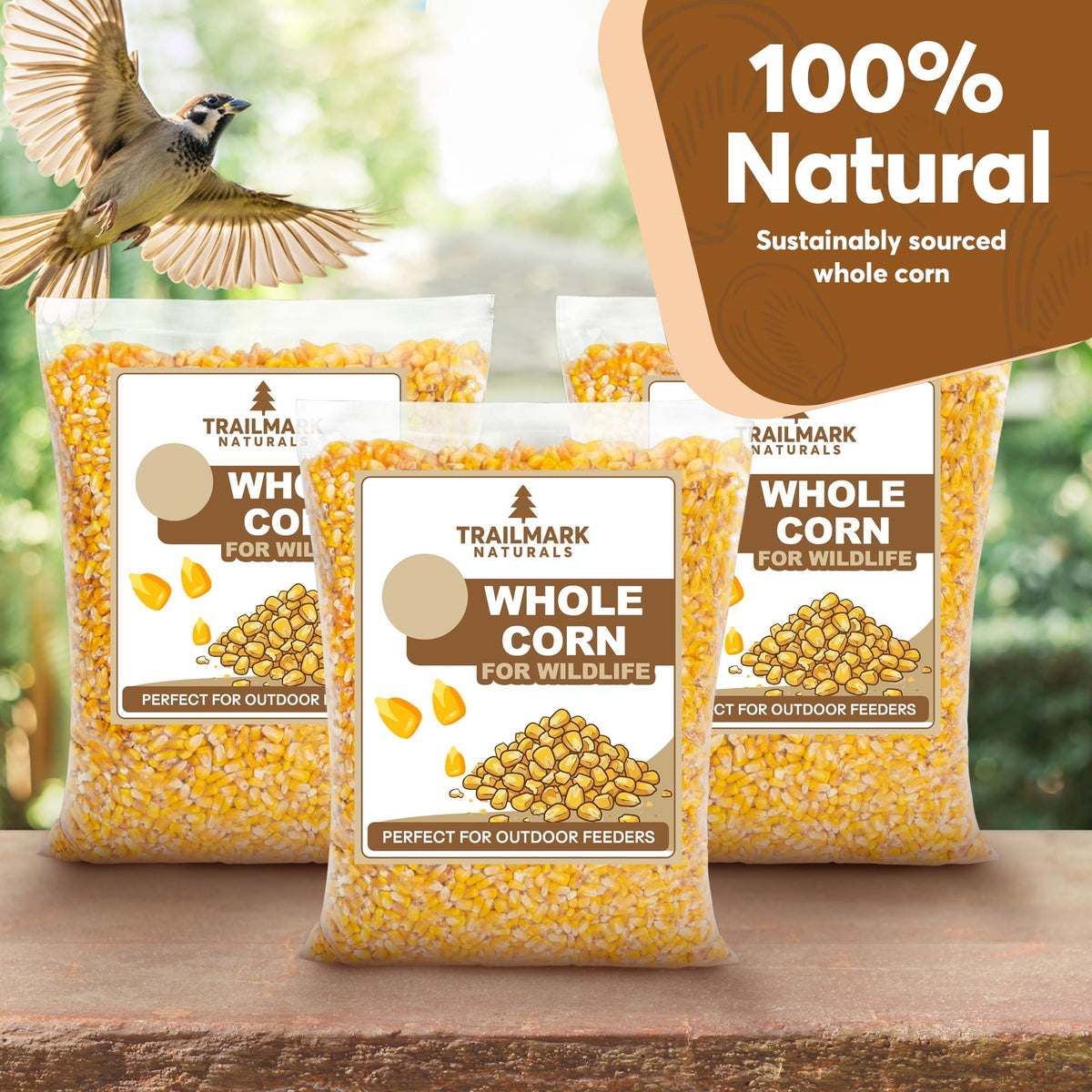 Whole Corn 20 LB Bird Seed & Wildlife Feed J1006