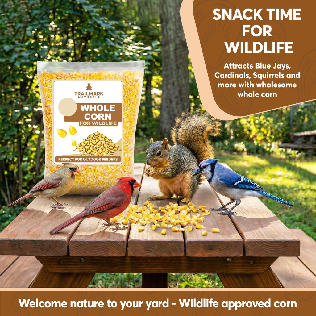 Whole Corn 20 LB Bird Seed & Wildlife Feed J1006