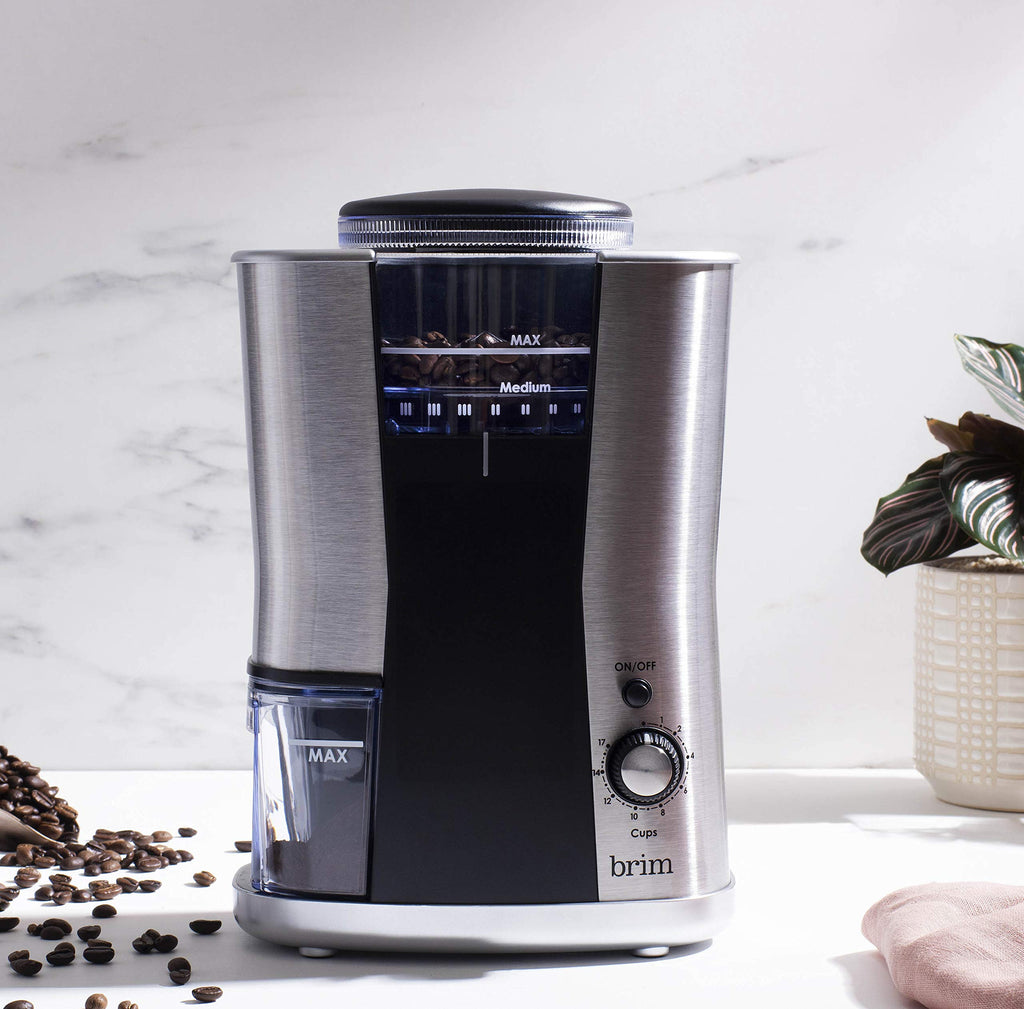 Conical Burr Coffee Grinder, 17 Grind Settings, Stainless Steel/Black D16113