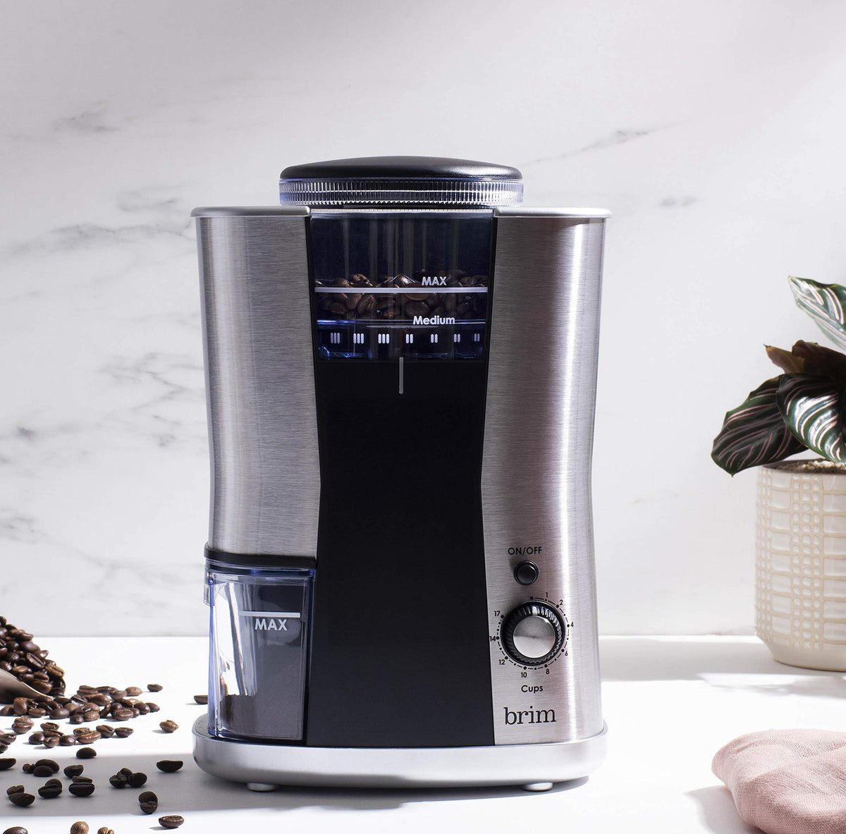 Conical Burr Coffee Grinder, 17 Grind Settings, Stainless Steel/Black D16113