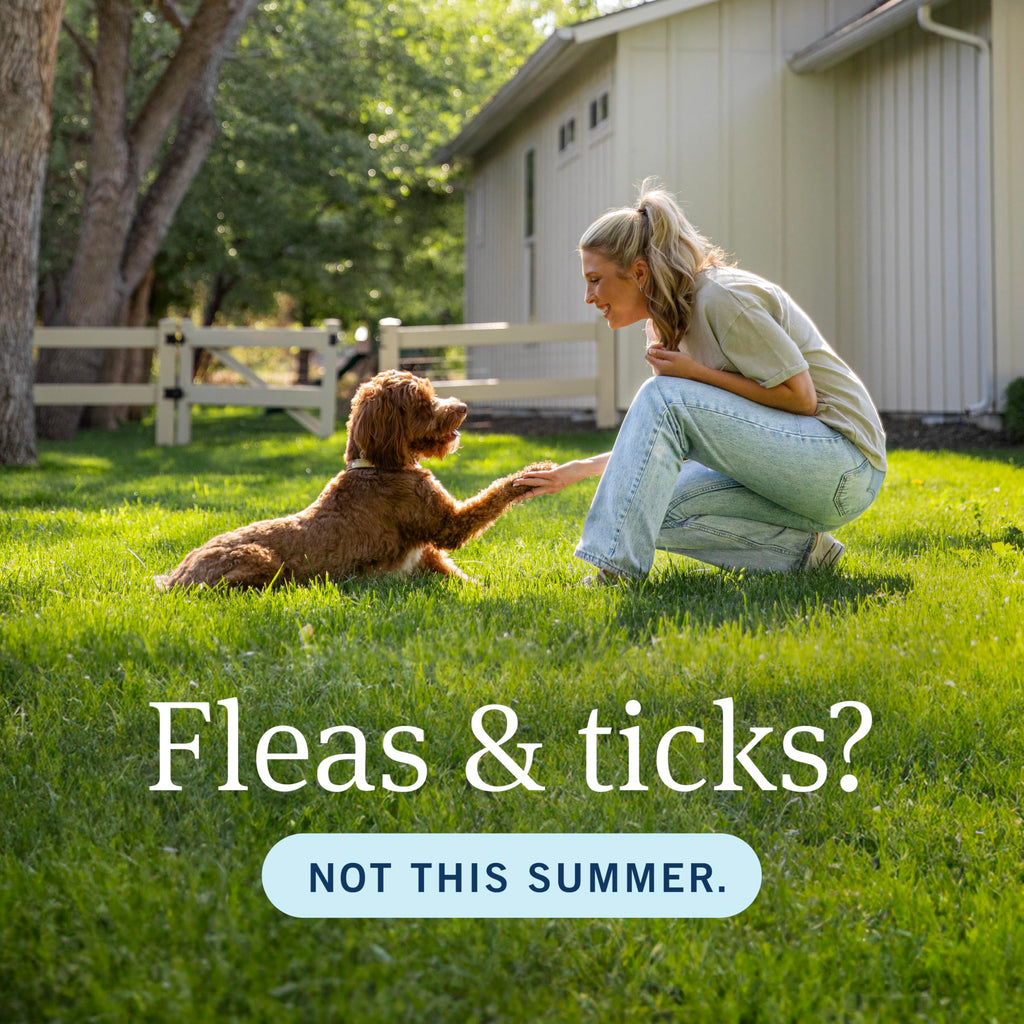 Flea & Tick Topical Dogs 5-22 lbs 3-Month P806