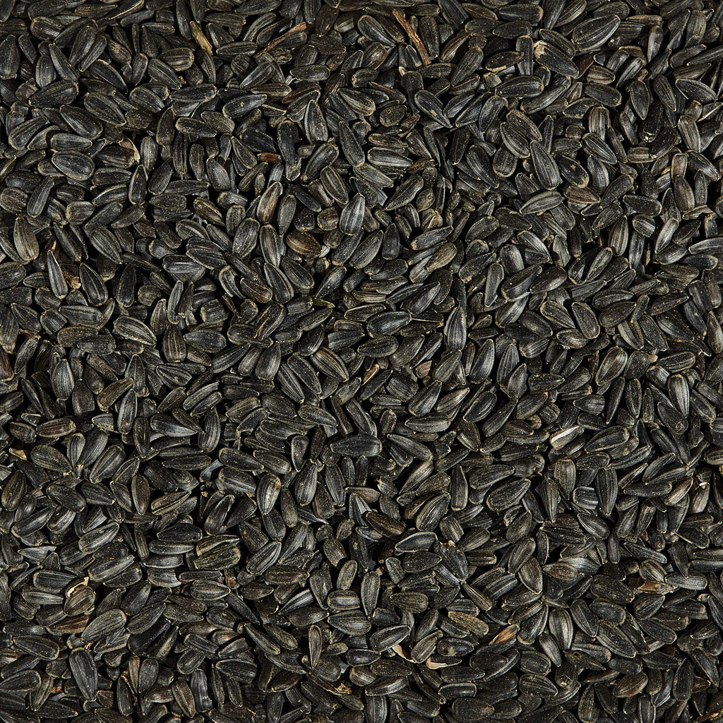Black Oil Sunflower Wild Bird Food, 20 Pounds E2428